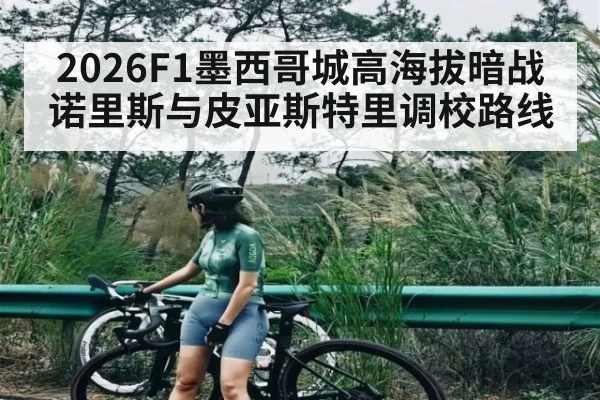 2026F1墨西哥城高海拔暗战诺里斯与皮亚斯特里调校路线 - c7c7
